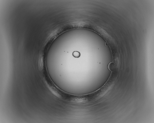 X0000111490638200907211010