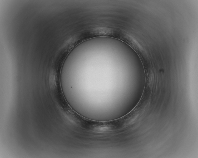 X0000111490643200907211010