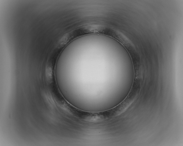 X0000111490646200907211010