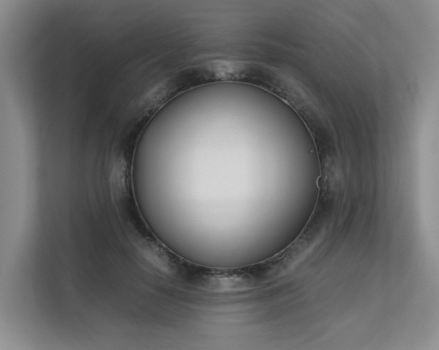 X0000111490650200907211010