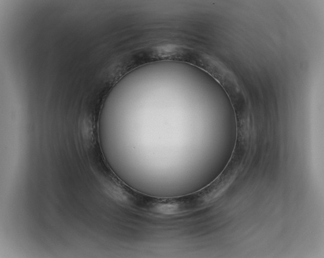 X0000111490653200907211010