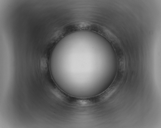 X0000111490654200907211010