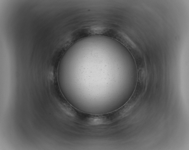 X0000111490655200907211010