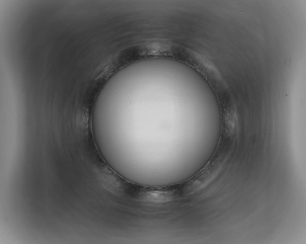 X0000111490657200907211010