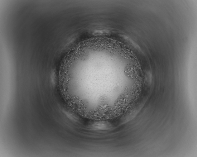 X0000111490659200907211010