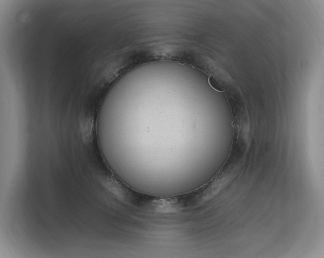 X0000111490660200907211010