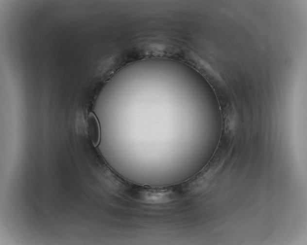 X0000111490661200907211010