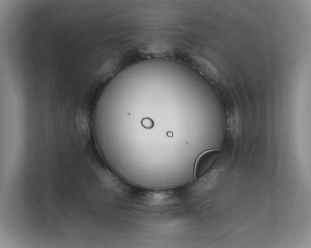 X0000111490662200907211010