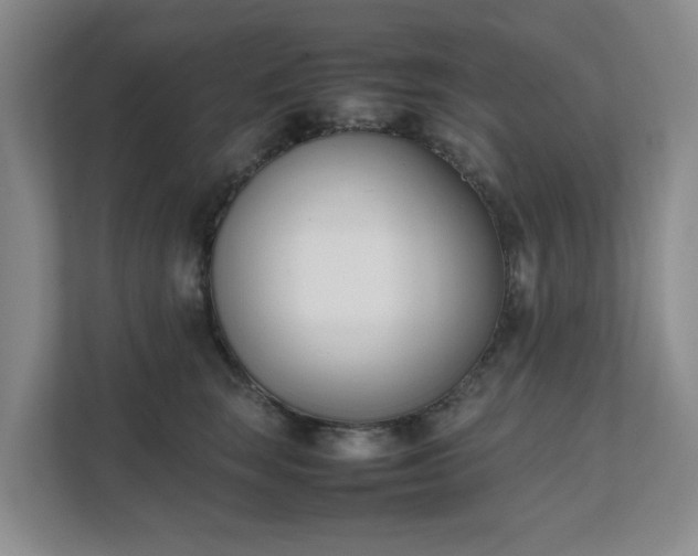 X0000111490663200907211010