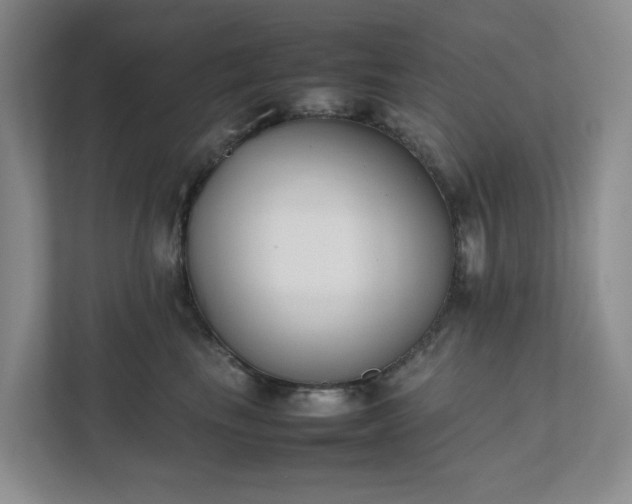 X0000111490665200907211011