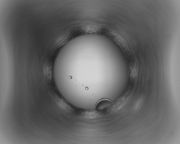 X0000111490666200907211011