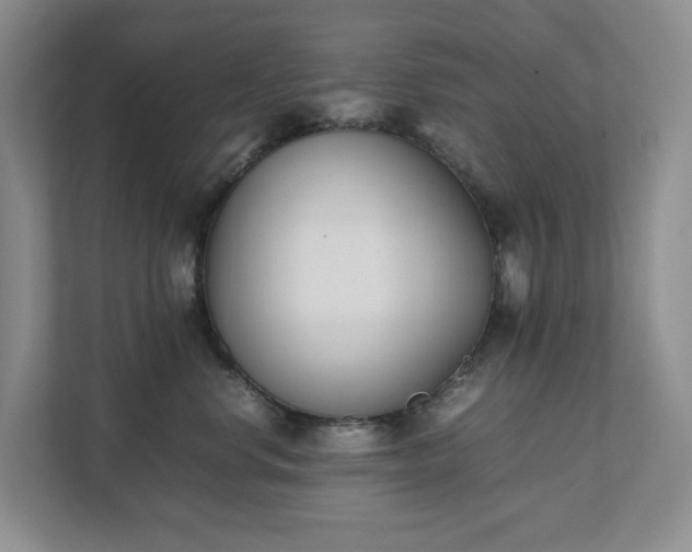 X0000111490668200907211011