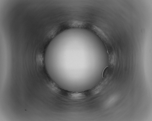 X0000111490669200907211011