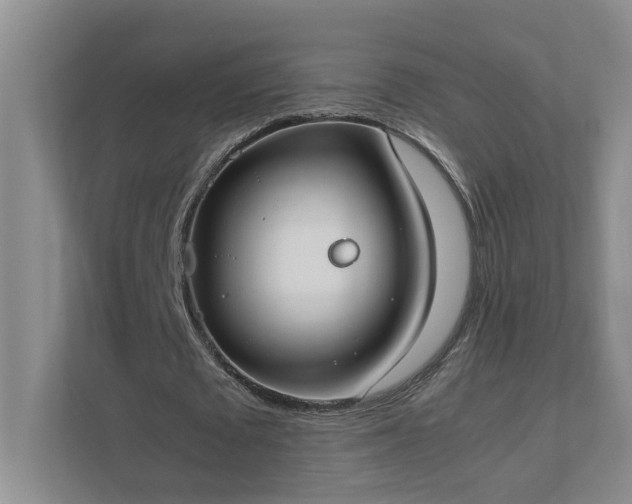 X0000111490673200907211010