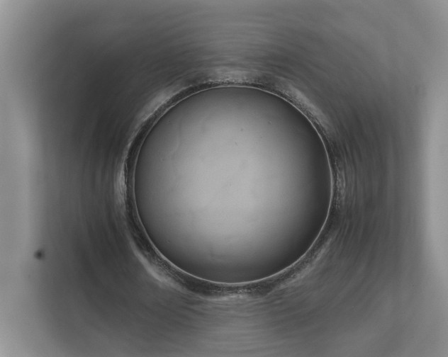 X0000111490674200907211010