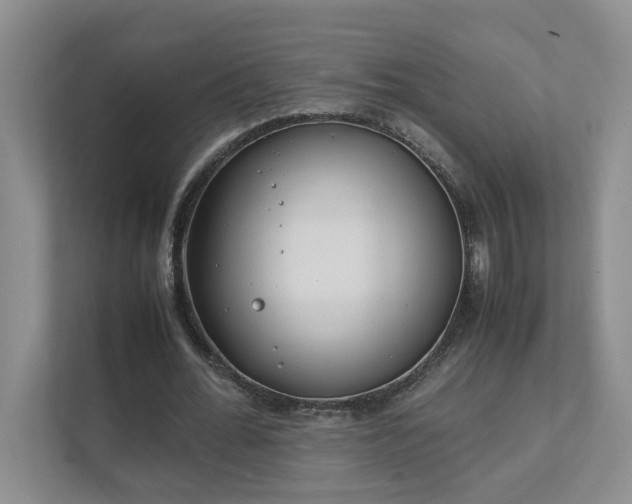 X0000111490676200907211010