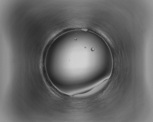 X0000111490677200907211010