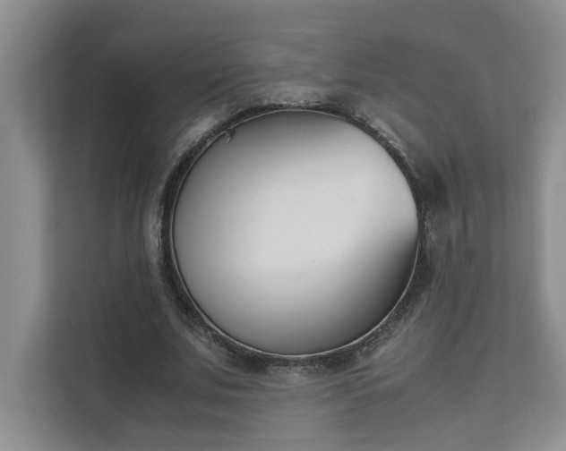 X0000111490679200907211010