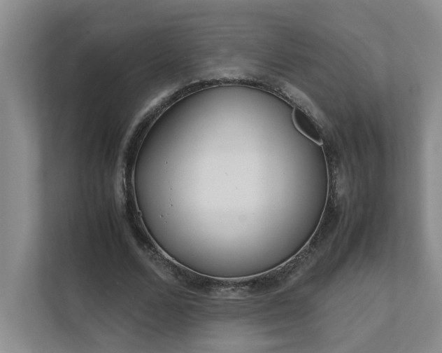 X0000111490680200907211010