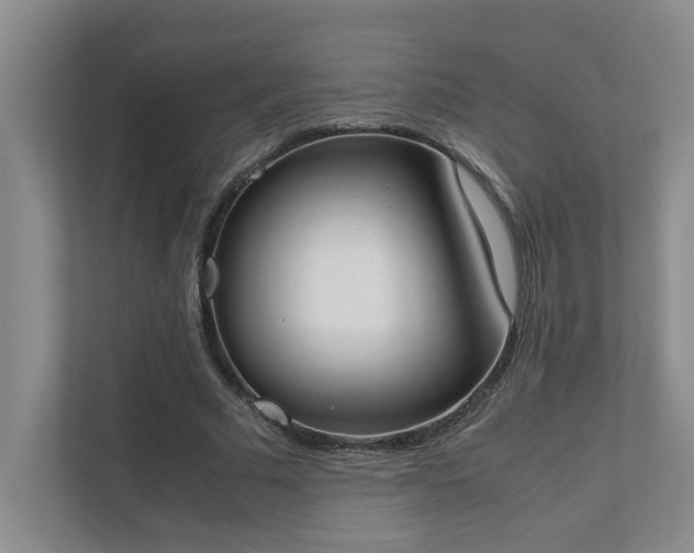 X0000111490681200907211010