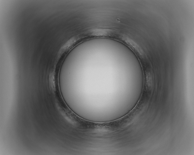 X0000111490682200907211010