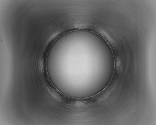 X0000111490684200907211010