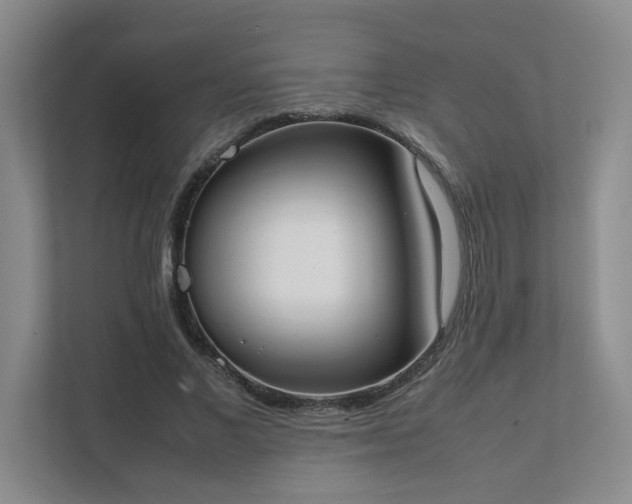 X0000111490685200907211010