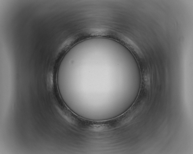 X0000111490686200907211010