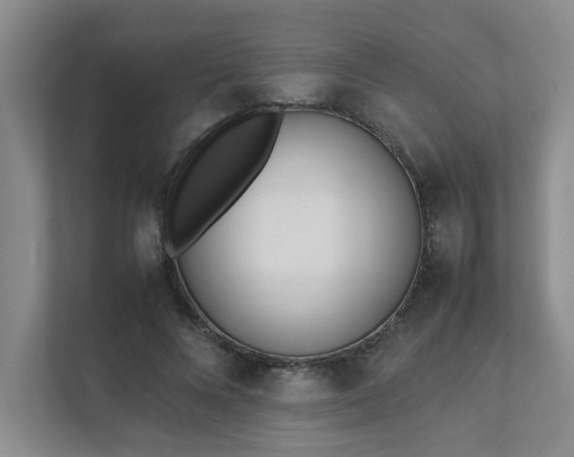 X0000111490688200907211010