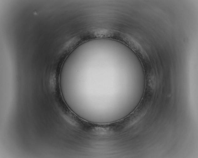 X0000111490690200907211010