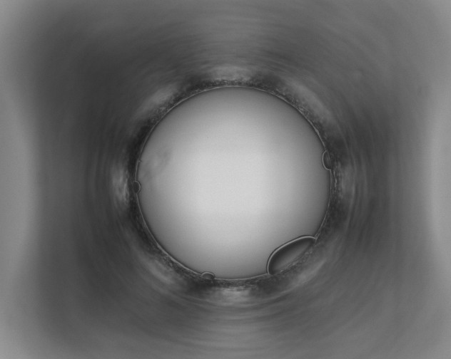 X0000111490692200907211010