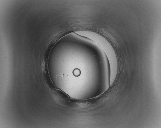 X0000111490693200907211010