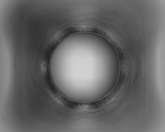 X0000111490695200907211010