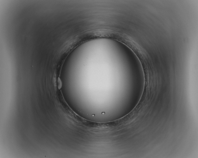 X0000111490696200907211010