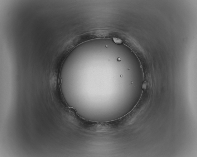 X0000111490697200907211009