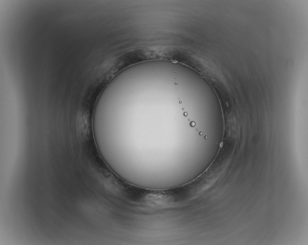 X0000111490699200907211009