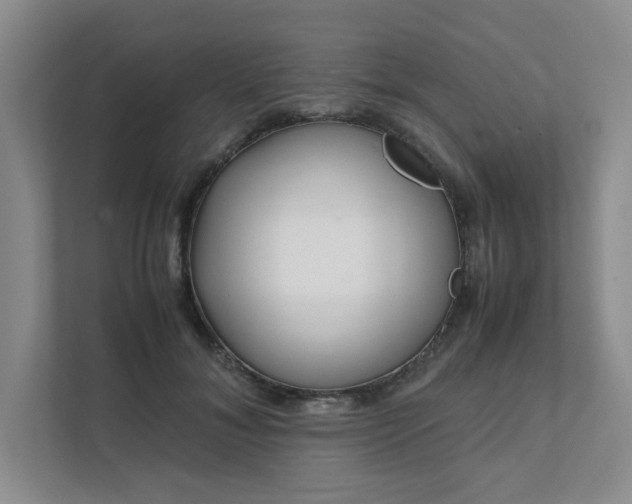 X0000111490700200907211009