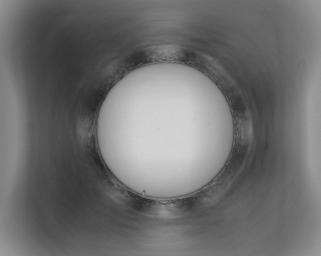 X0000111490701200907211009