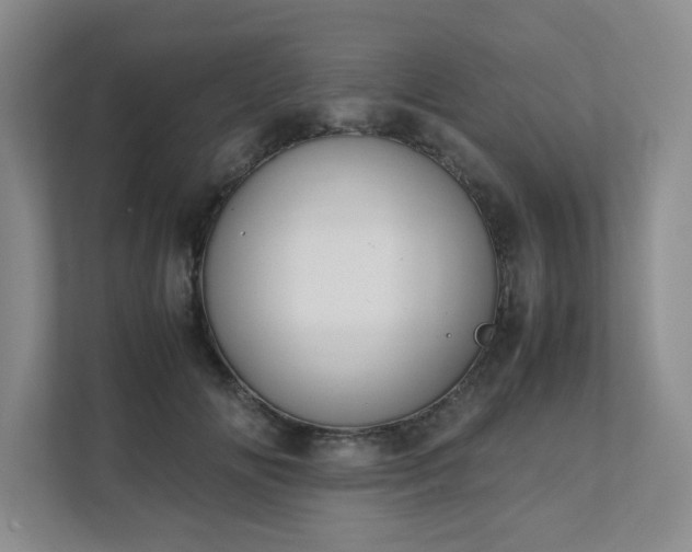 X0000111490702200907211009