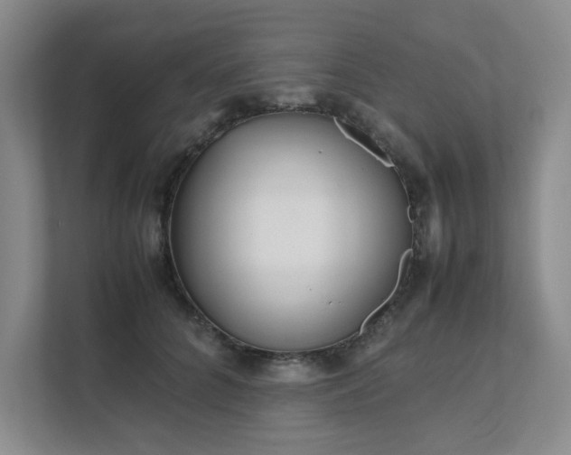 X0000111490704200907211009