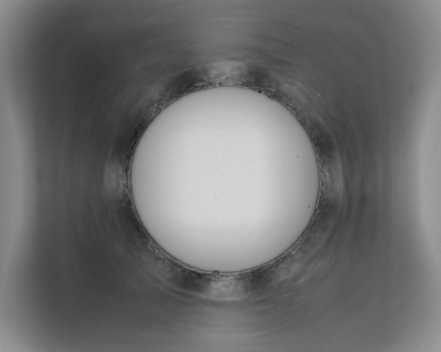 X0000111490705200907211009