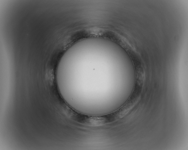 X0000111490707200907211009