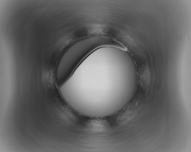 X0000111490708200907211009