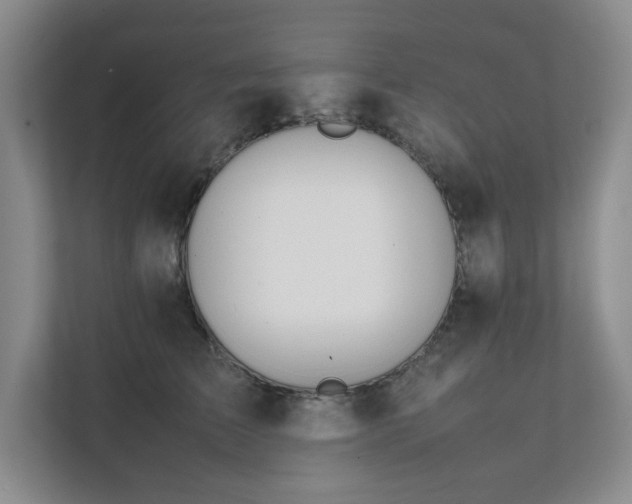 X0000111490709200907211009