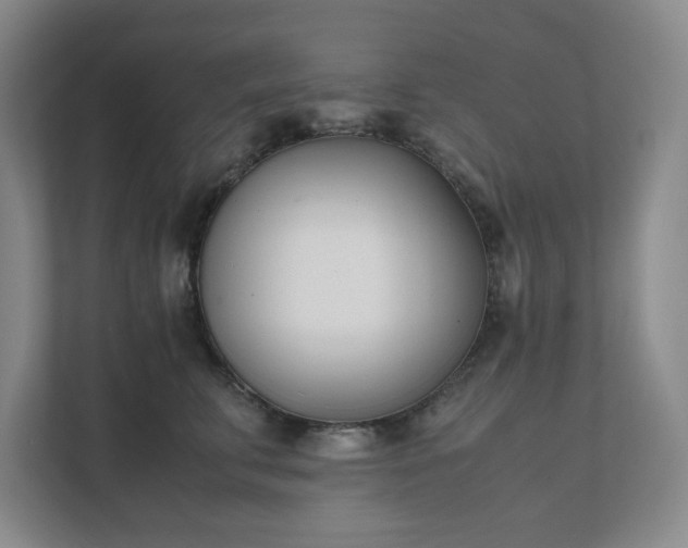 X0000111490711200907211009