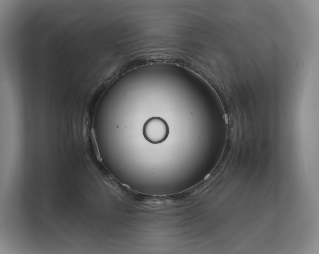 X0000111490712200907211009