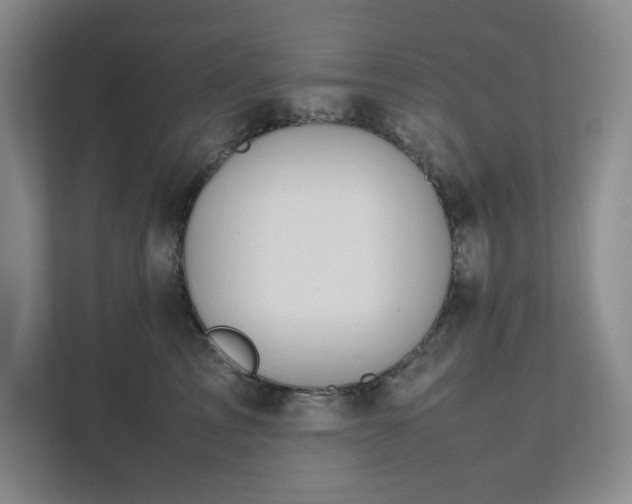 X0000111490713200907211009