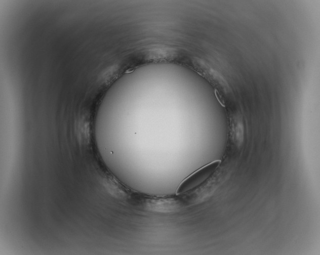 X0000111490716200907211009