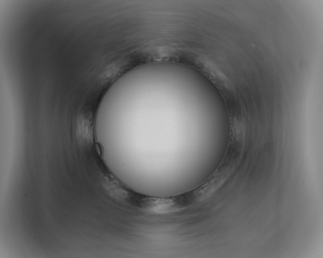 X0000111490719200907211009