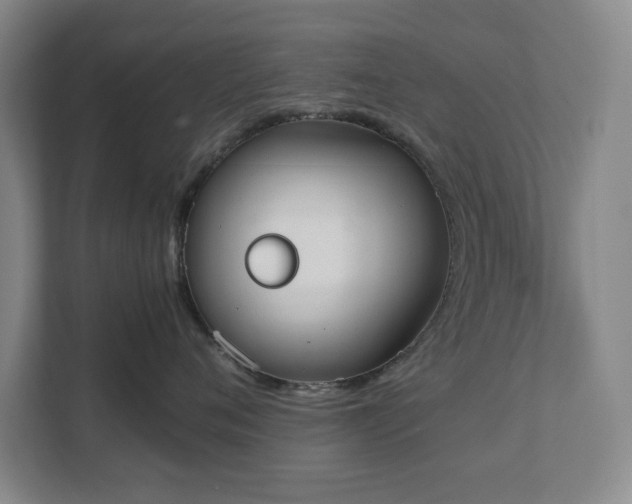 X0000111490720200907211009